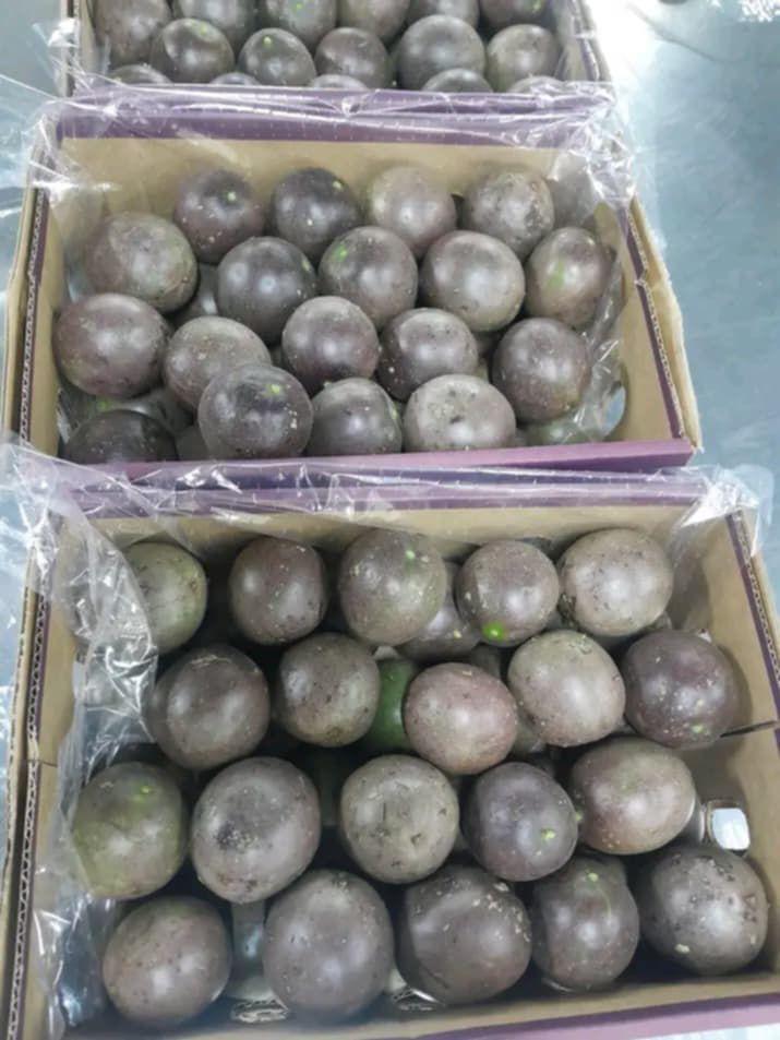 Fresh passion fruits
